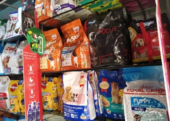 Welcome to Pets World Patna, your go-to destination for comprehensive pet care services and quality pet products. We offer a range of services, including pet care, grooming, and a variety of accessories. Explore our extensive collection of dog, cat, and rabbit breeds, along with a wide selection of pet accessories, food, treats, and healthcare products. Visit us at Rajendra Nagar Road, Kankarbagh, Patna - 800020, near Malahi Pakri Chowk. For inquiries, call us at +91 99347 41143. Your furry friend's well-being is our priority!